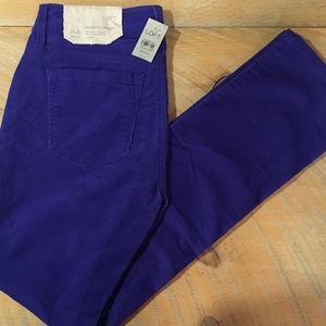 🆕 NWT Ann Taylor Loft blue purple skinny petite